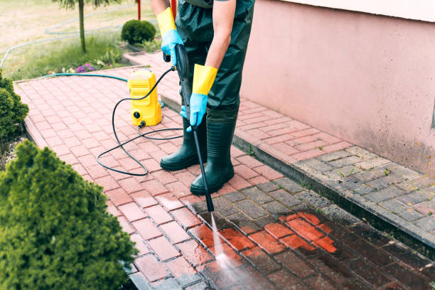 Best Patio and Deck Pressure Washing  in Waikapu, HI